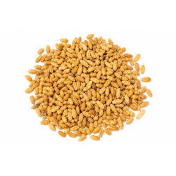 Granat Pestka 100 G